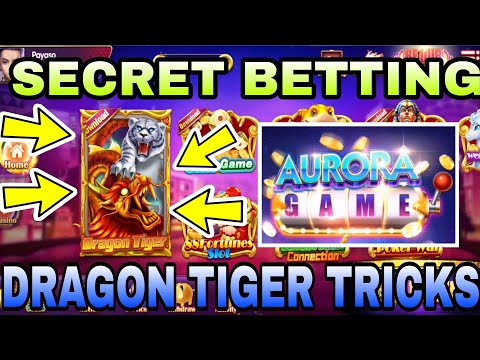 AURORA GAME DRAGON & TIGER Love | 100 KO NAGING 400K