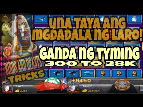 una taya ang ngdala , ganda ng tyming || BIRDS&BEAST Love | ANIMAL WORLD Love | THOR GAMES
