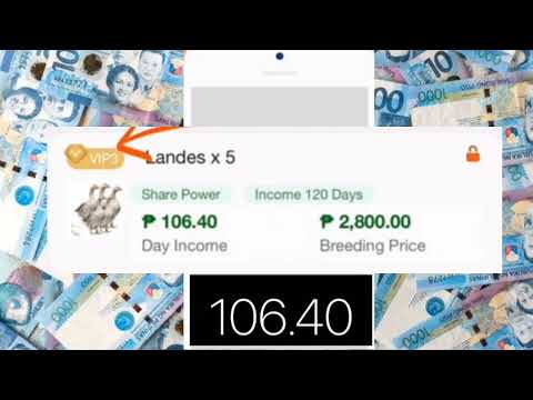 GOODWOOD EARNING APP