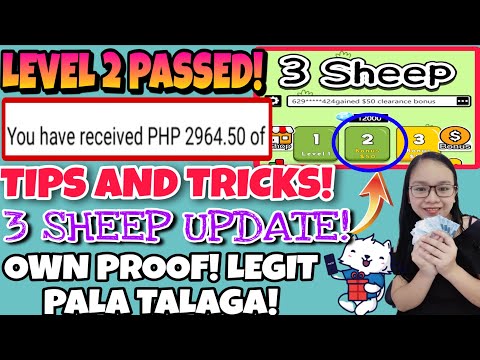 3 Sheep Tips And Love!