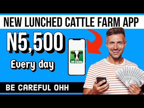 New cattle farm app lunched be careful(99cattle farm app review)How to make money online in Nigeria