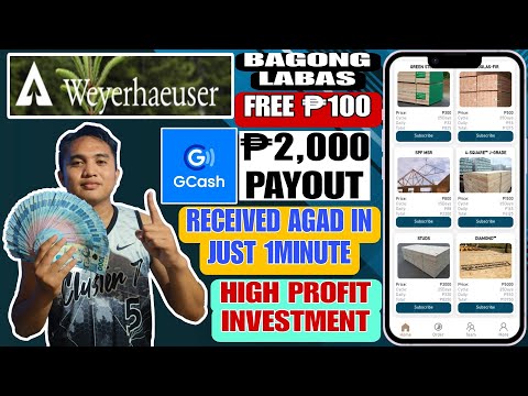 WEYERHAEUSER INVESTMENT✅ | ₱2,000 GCASH PAYOUT | LEGIT 100% PAYING | FREE ₱100 | GOOD FOR INVESTORS